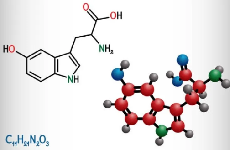 Molecular structure of 5-HTP (5-hydroxytryptophan)